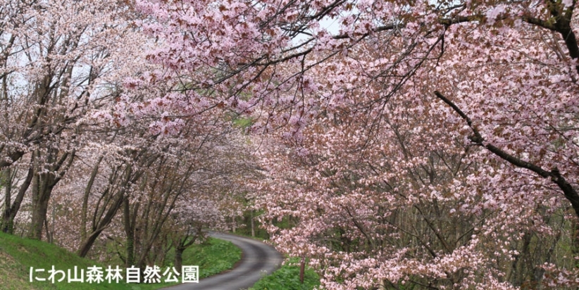 にわ山森林自然公園