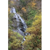 秋の不老の滝