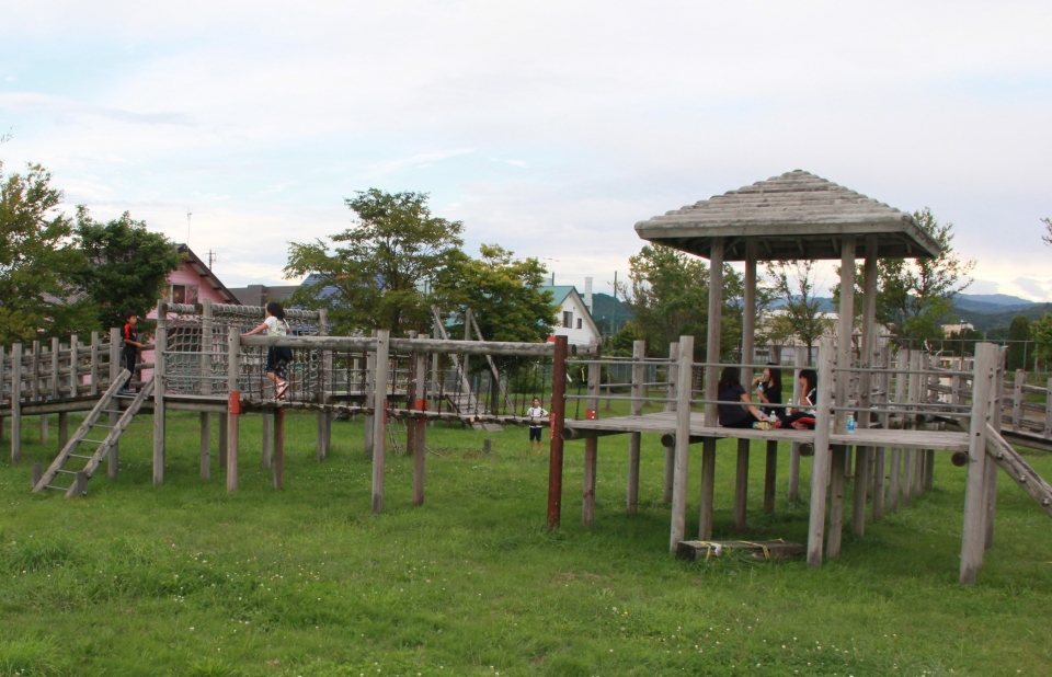 近所の公園は子ども達の遊び場になっています