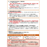 物価高対応子育て応援手当2